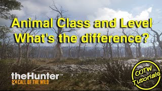 theHunter Call of the Wild Classe e nivel do animal qual e a diferenca