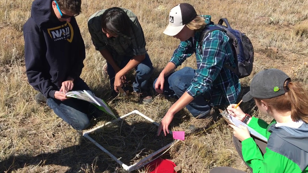 Anderson Mesa Video Project