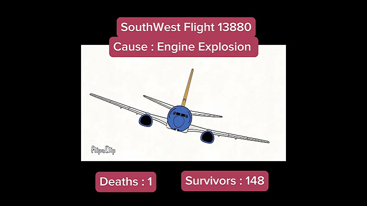 Southwest Flight 1380 Landing Animation #aviation #plane #crash #planecrash #animation #flipaclip - DayDayNews