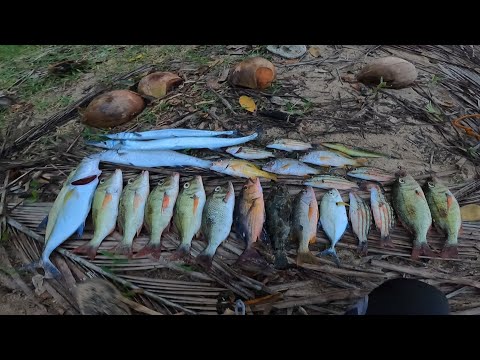 Video: Chilean Sea Bass Sa Toyo-honey-orange Na Sarsa Na May Ligaw Na Ratatouille