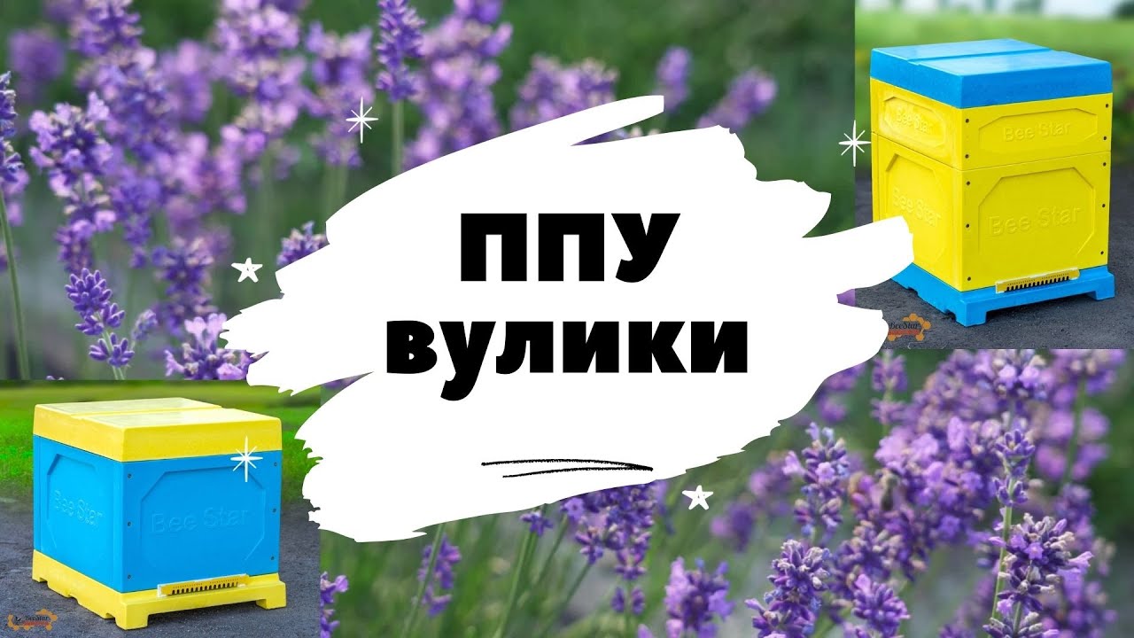 ППУ вулики Бістар - YouTube