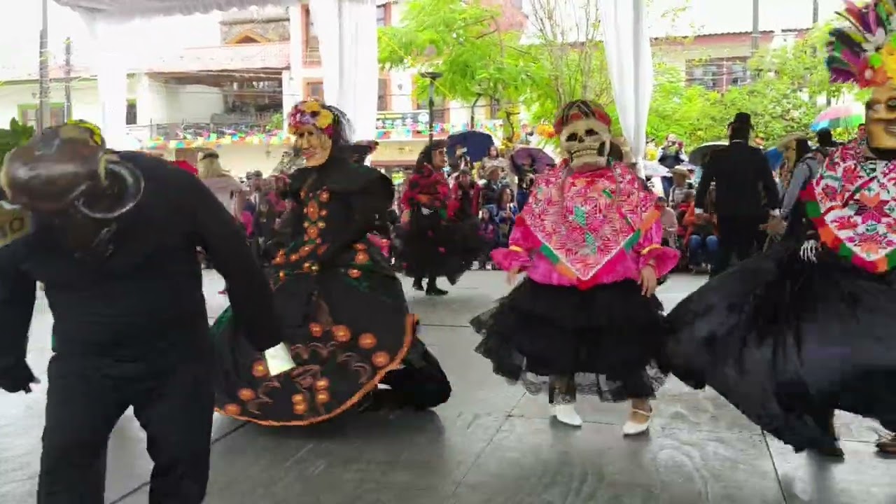 Comparsa de Maestros, Zona 140 Xilitla  Xantolo 2025