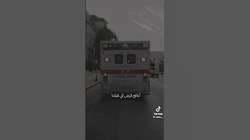 انا مانيش مقصر معك بس انت ما تستحق 