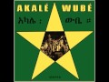 Akal wub  anbessa feat manu dibango