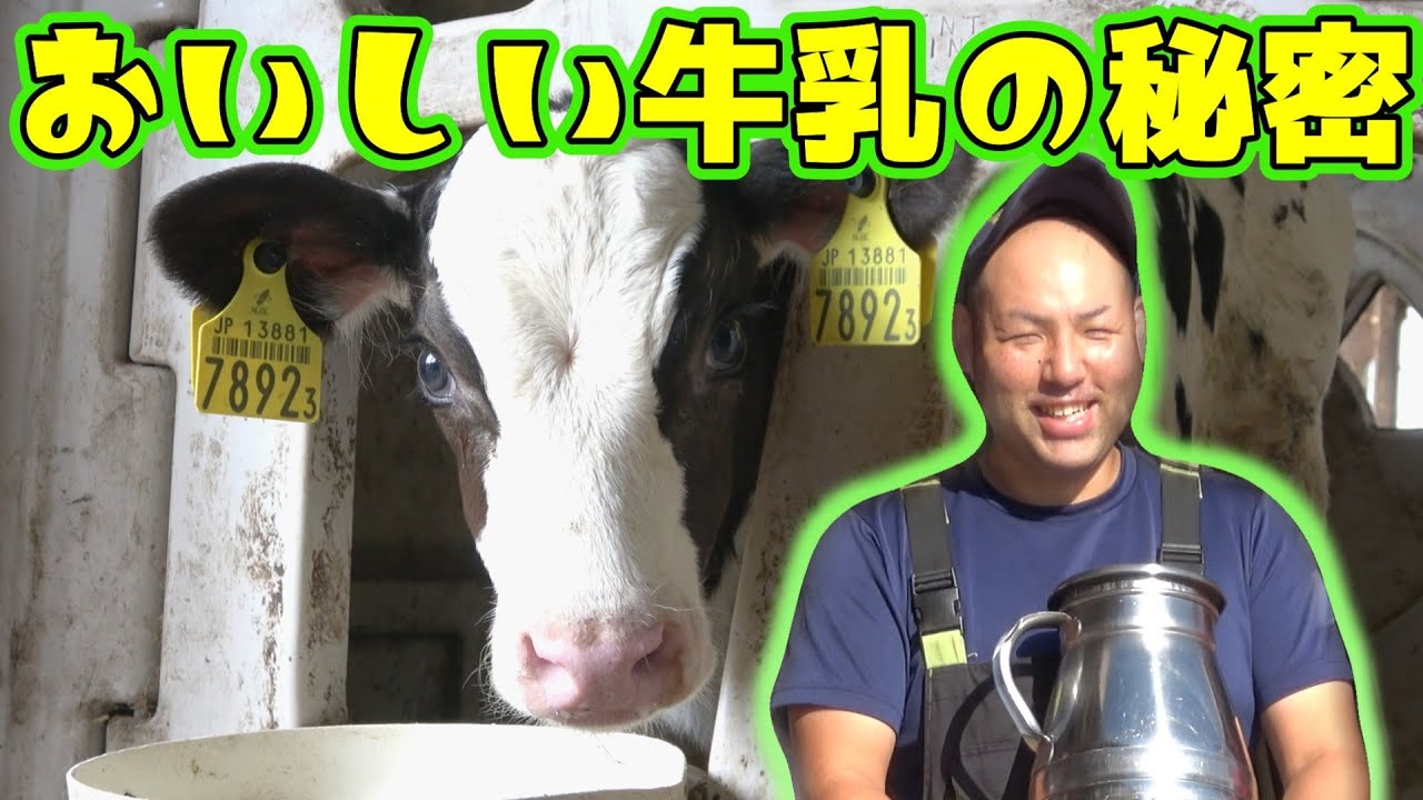 【産地ＰＲ動画】おいしい牛乳の秘密（岩手町・ハッピーヒルファーム）