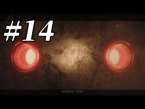 【🔴ニーア オートマタ】命もないのに、殺し合う。 ＃14 アーカイブ・END回収(4週目)【#NieR：Automata】