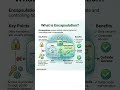 ENCAPSULATION #coding #dsa #oopm #oop #programming