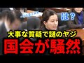 【参政党】とある議員から謎のヤジで国会騒然。選択的夫婦別姓制度の大事な質疑に何があったのか。