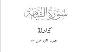 سورة القيامة كاملة بجودة عالية HD |بصوت القارئ أنس أحمد