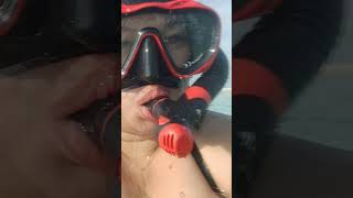 Download Lagu Snorklind @ white sand bar #camiguinisland MP3