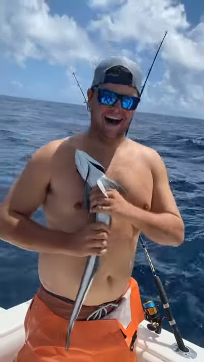 Remoras will stick to anything!