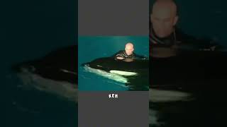 Косатка держала тренера под водой 50 секунд #животные #косатка #shorts