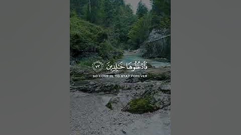 أرح سمعك 🥀القارئ: عبد العزيز سحيم 🍃حالات واتس آب