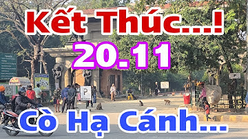 Kết Thúc Hiện Tượng Tham Sân Si...! Cò Hạ Cánh Về VN