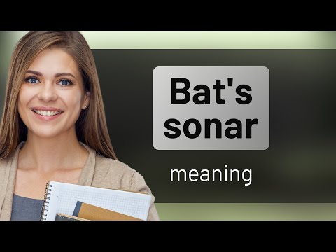 Understanding "Bat's Sonar": A Fascinating Natural Phenomenon