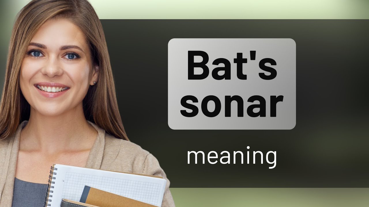 Understanding "Bat's Sonar" A Fascinating Natural Phenomenon YouTube