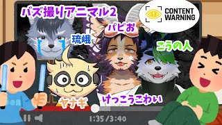【#contentwarning #コラボ 】フルパのバズ撮りアニマル2ndシーズン！今度はもっと深くまで！【舞パピとうや,こうの人、琉峨、四垂ヤナギ】