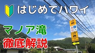 【現地解説】期待を上回ったマノア滝、バスでの行き方と利用方法、個人でも余裕です