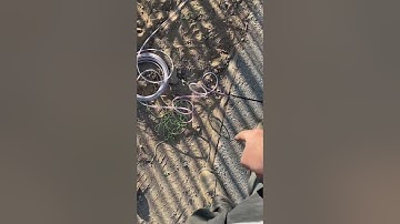 Liftmaster BD-Loop Sensor Wire Exit Gate