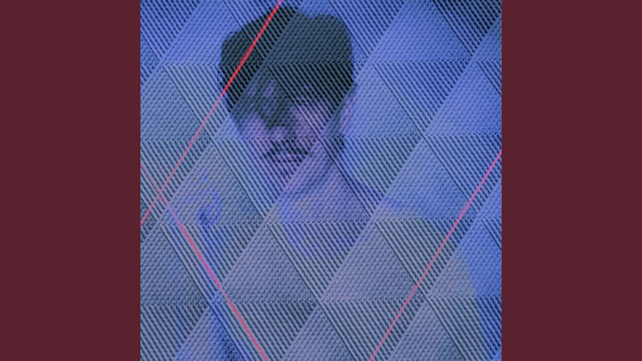 Knight In Panther Skin