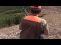 Wild Boar Hunt in Anatolia. / Anadolu'da  Bir Domuz Avı.