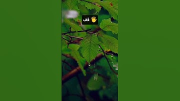 #تلاوة_خاشعة #المصحف #القزابري #تلاوة_هادئة #عبدالرحمن_مسعد