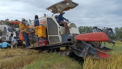 máy cắt 70 tàn độ bánh 9 cắt lúa rất nhanh ở miền núi tập41 #maibangtv