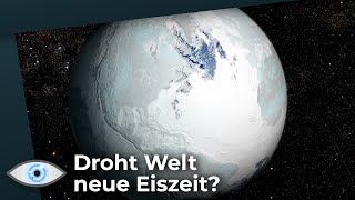 Welche Folgen hatten die Eiszeiten für das Leben auf der Erde?