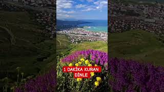 1 DAKİKA DİNLE!!!!!