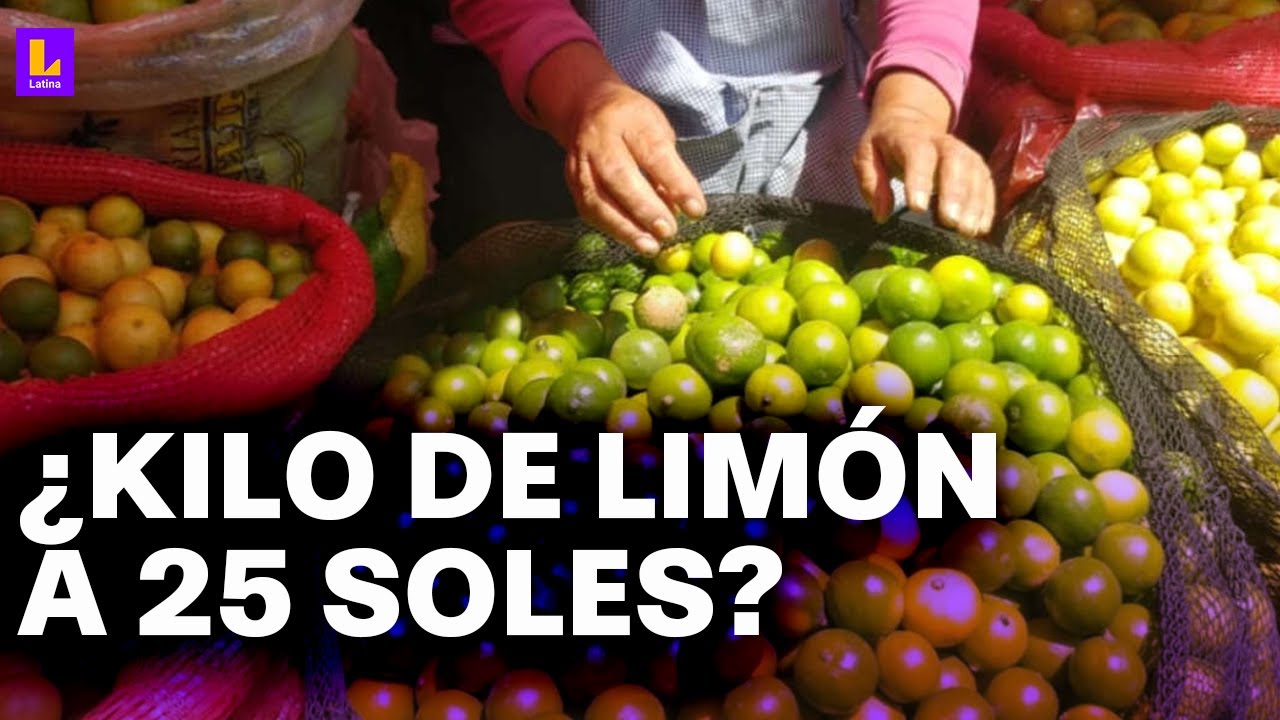 Kilo de limón podría llegar a 25 soles: Recomiendan "exportación temporal" para evitar subida
