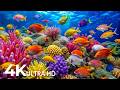 AQUARIUM 4K (ULTRA HD) - Beautiful Fish Swimming &amp; Colorful Sea Life Video 🐠 Peaceful Relaxing Music