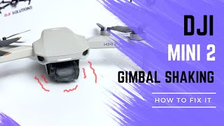 Fix Dji Mini 2 Gimbal Shaking Violently