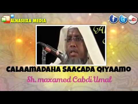 CALAAMADAHA SACADA QIYAAMO SH Maxamed Cabdi Umal 