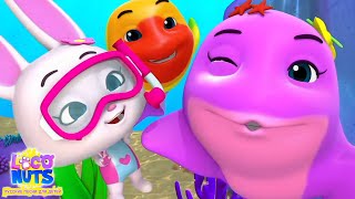 Детеныш акулы песня для детей + более дошкольное учусь видео от Loco Nuts