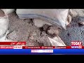نوابشاہ  محکمہ خوراک کی نااہلی کی وجہ سے گودام میں موجود سرکاری گندم خراب