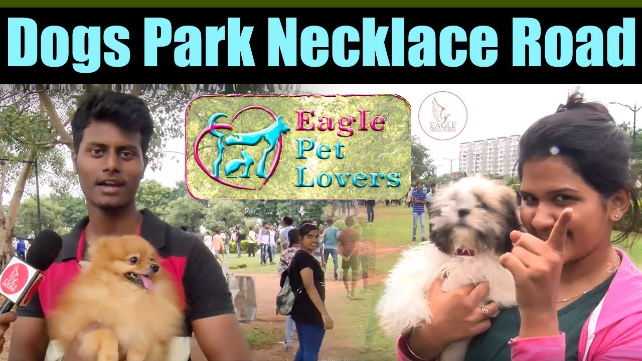 Dogs park necklace road Eagle Pet Lovers Hyderabad Eagle Media