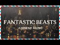 Fantastic beasts ambient music  raining in new york  relaxing studying sleeping