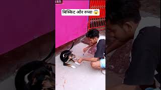 बिस्किट और रुप्या 😱 #dog #trending #ytshorts #shorts #challenge