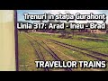 Trenuri în stația Gurahonț (Linia 317: Arad - Ineu - Brad) + prezentarea zonei