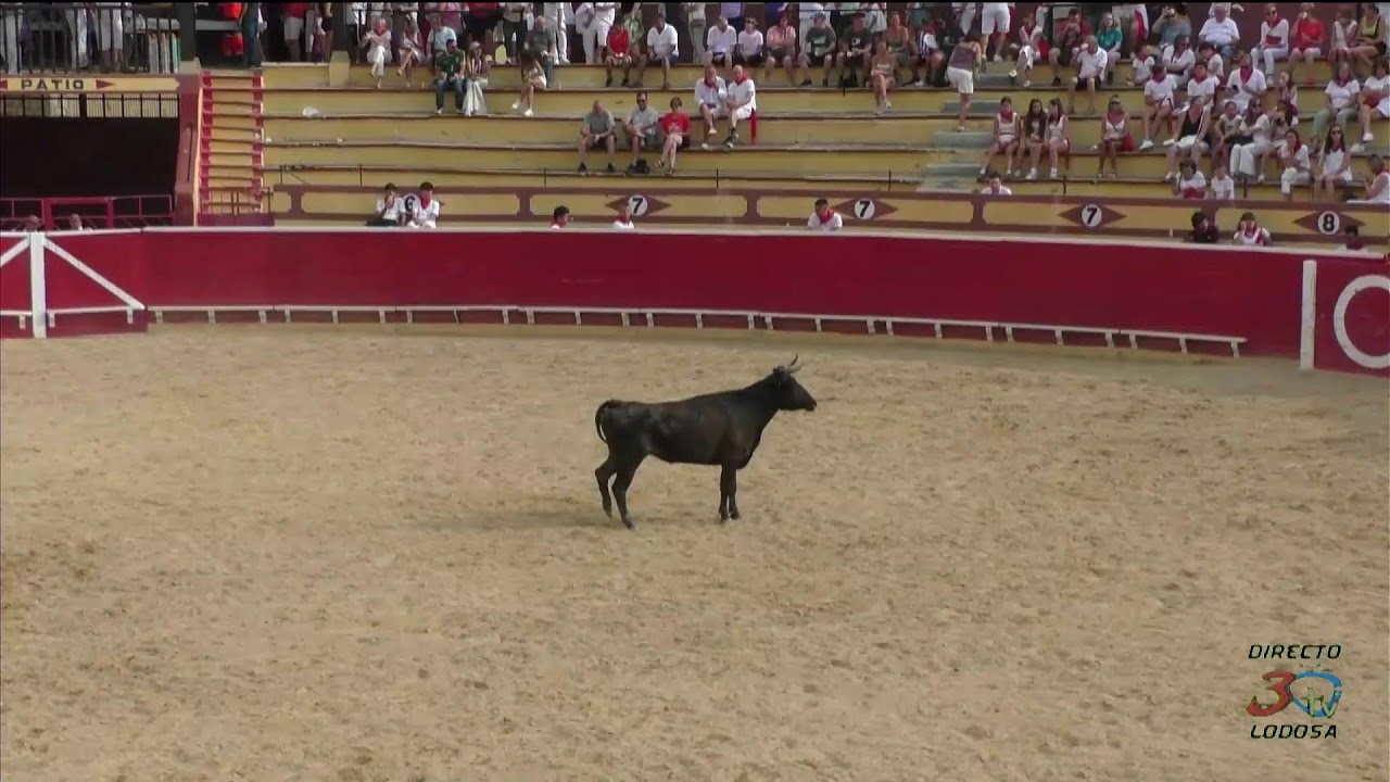 Lodosa, Patronales 2026, Directo Festejo matinal 03/08/26