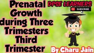 What Is Prenatal Growth During Three Trimesters ? | Third Trimester | Embryonic Stage | UCC