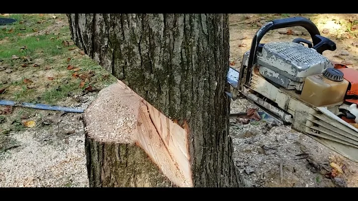 Sizwheel for side lean