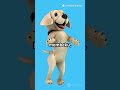 Anjing yang Pause Dunia… tapi Kucingnya Nggak Ikut!