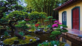 Touring Niwaki Style Japanese Gardens in Brazil