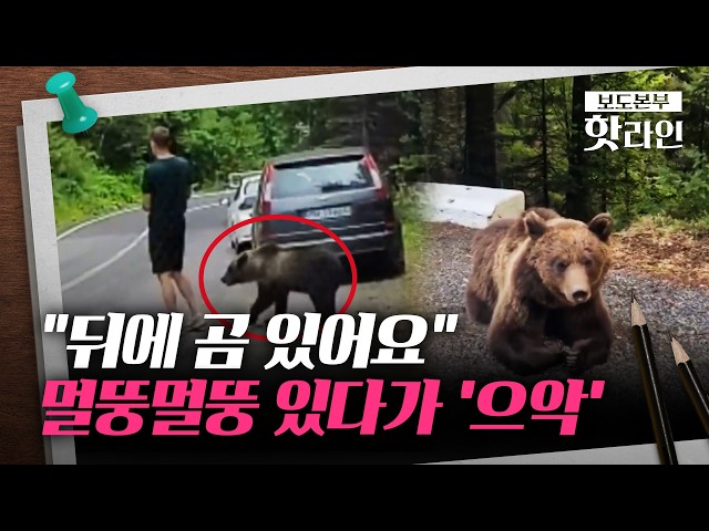 [핫라인] 루마니아, 곰 개체 수 늘어난 산악 도로서 '아찔한 상황'