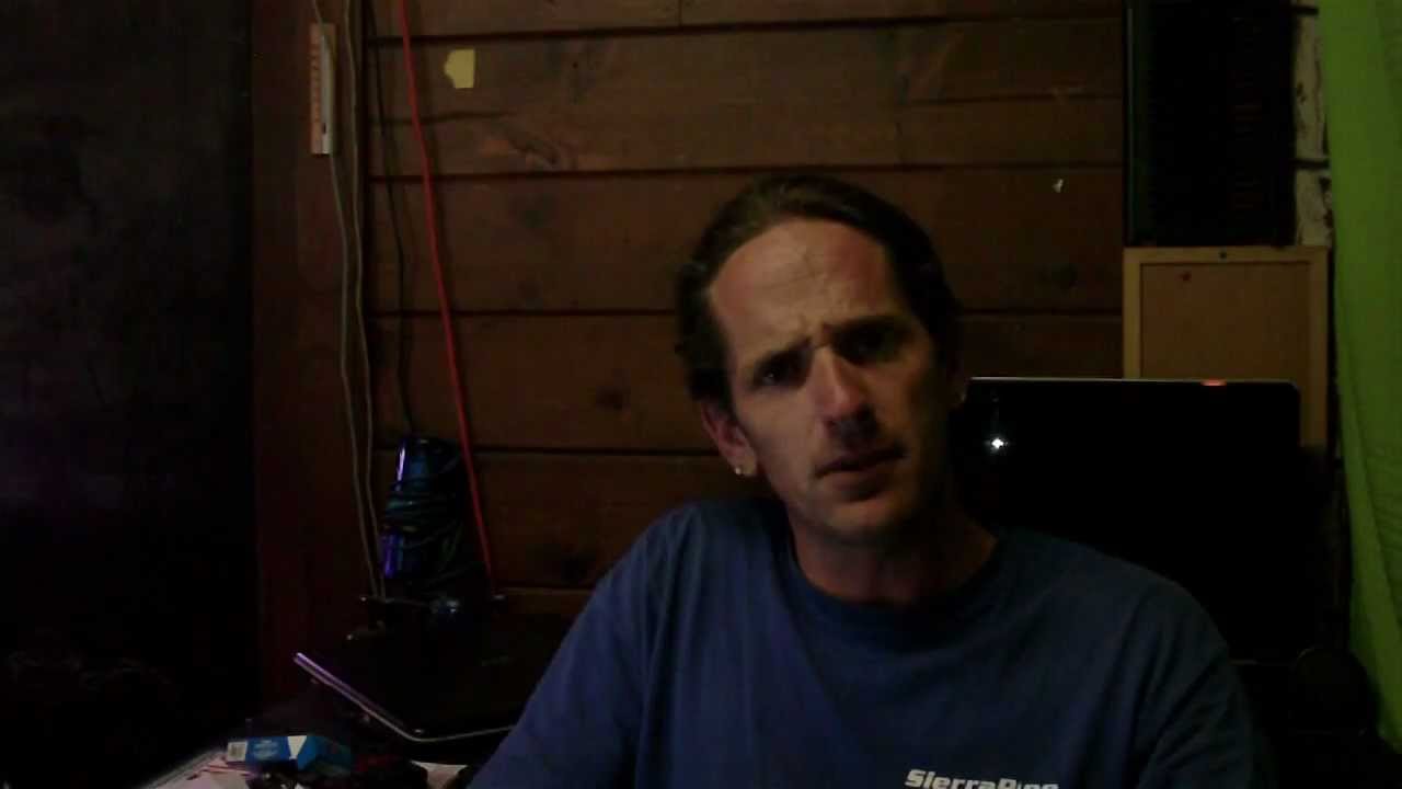 eating sugar no papa Reptile News: Orange Alligator