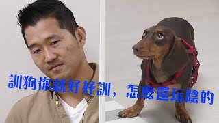 訓犬師訓練途中突然消失狗狗躡手躡腳想要偷跑結果被訓犬師逮個正著。