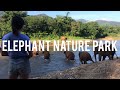 Elephant Nature Park Volunteering 2019