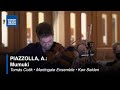 Astor piazzolla mumuki toms cotik   martingale ensemble  ken selden music