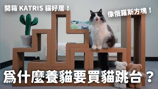 為什麼養貓需要買貓跳台和那堤開箱KATRIS貓好居 ft. KATRIS EP120